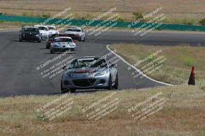 media/May-04-2024-Lucky Dog Racing (Sat) [[d39539b3f3]]/Race Pics/1015am (Turn 2)/